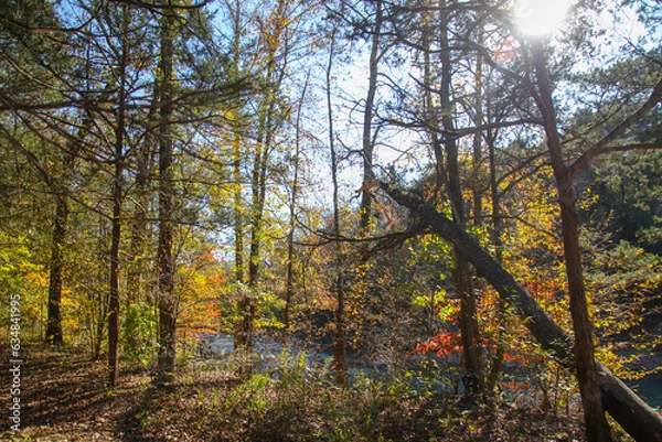 Fototapeta Fall Forest Arkansas