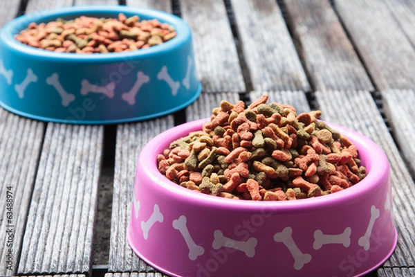 Obraz Dog food