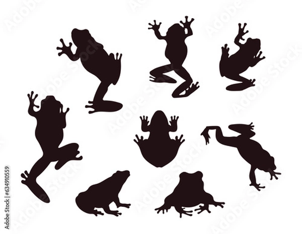 Obraz frog silhouette Vector on white background 