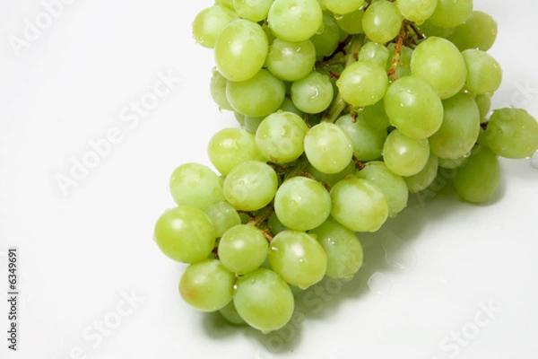 Obraz Fresh Grapes