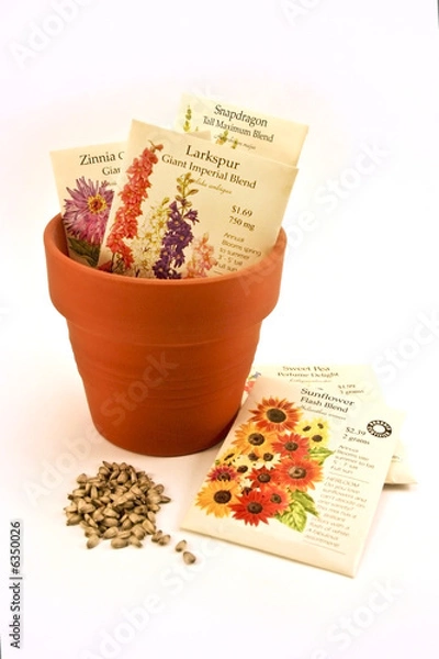 Obraz Seed packets in flower pot