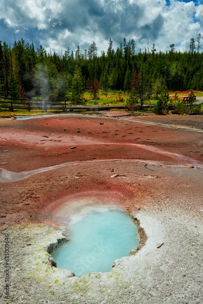 Obraz Yellowstone National Park