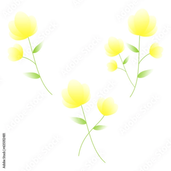 Obraz illustration set of a yellow flower