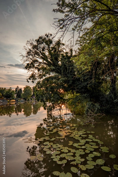 Obraz River in the sunset