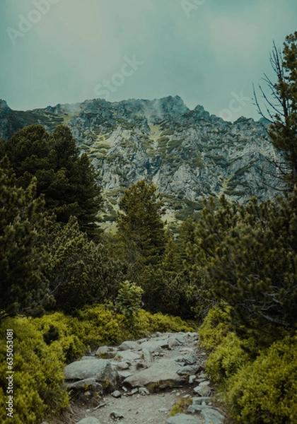 Obraz landscape in the mountains
