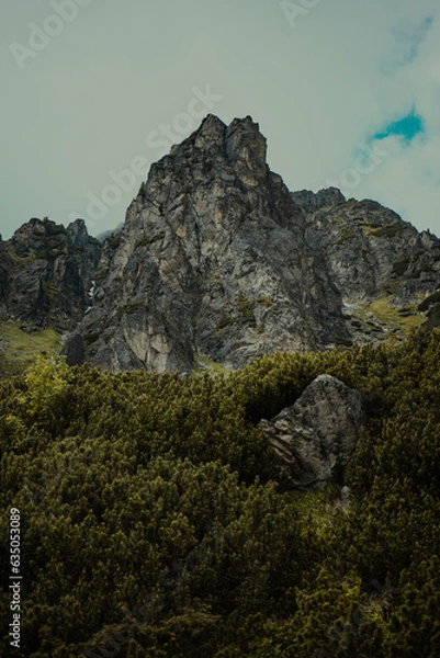 Obraz rocks in the mountains