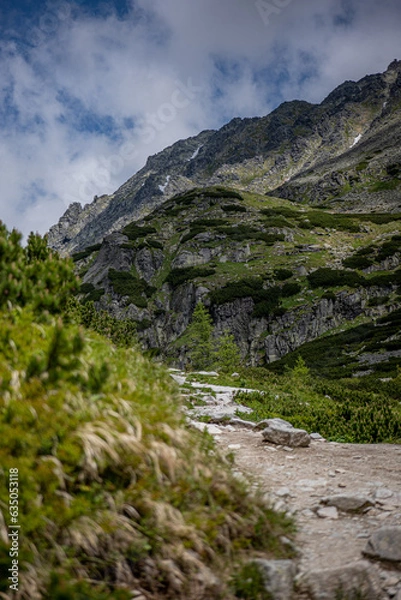 Obraz mountain river in the mountains