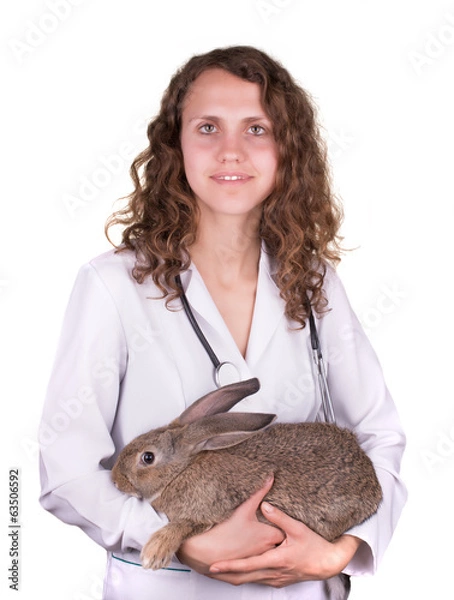 Obraz a female vet holding a rabbit
