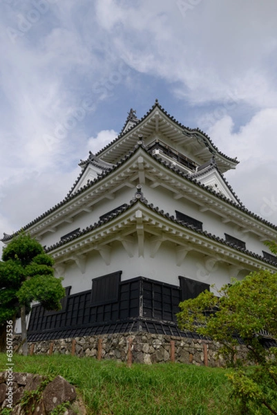 Obraz 南房総の館山城天守閣