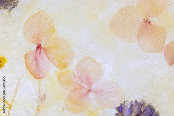 Obraz 氷の中のドライフラワー