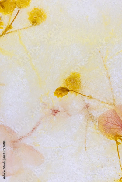 Obraz 氷の中のドライフラワー