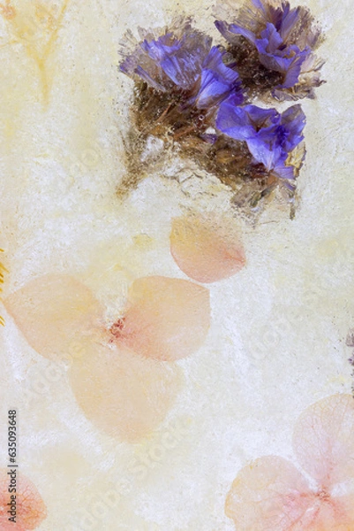 Obraz 氷の中のドライフラワー