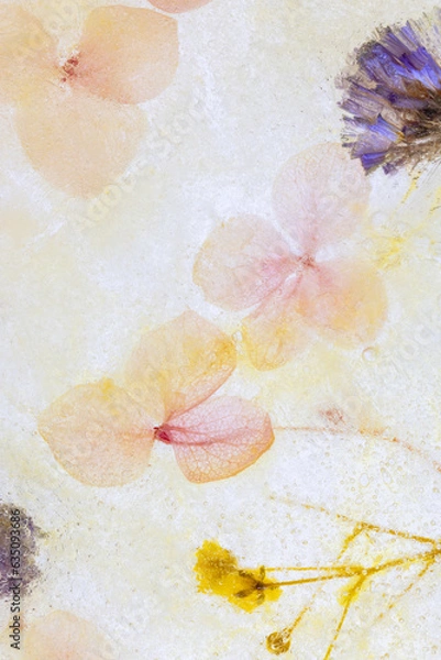 Obraz 氷の中のドライフラワー