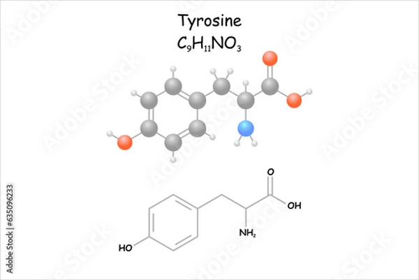 Fototapeta Stylized molecule model/structural formula of the amino acid tyrosine.