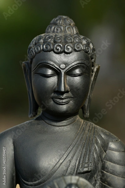 Obraz Black stone Buddha statue in India - black background