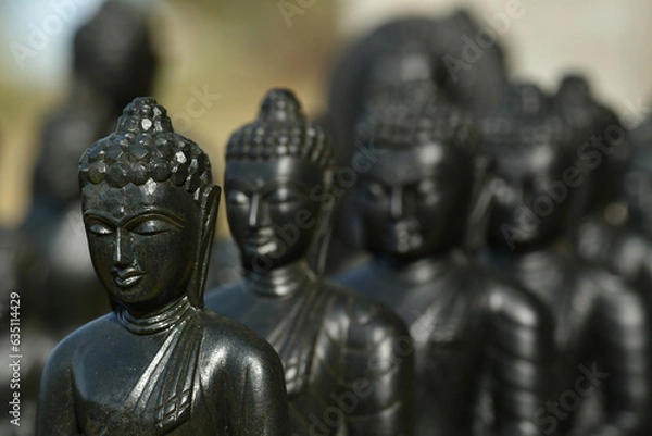 Obraz Many black stone Buddha statues in India