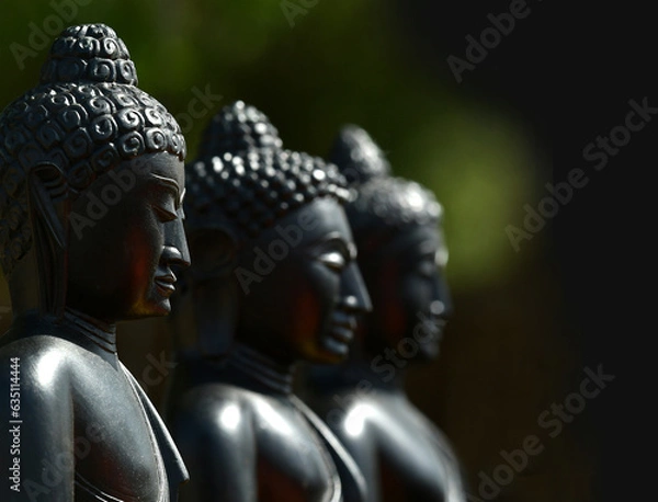 Obraz Many black stone Buddhas in India - black background
