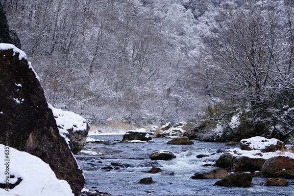 Fototapeta stream in winter