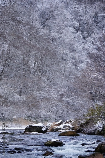 Fototapeta river in winter