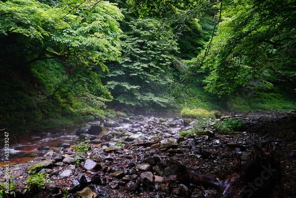 Fototapeta stream in the forest