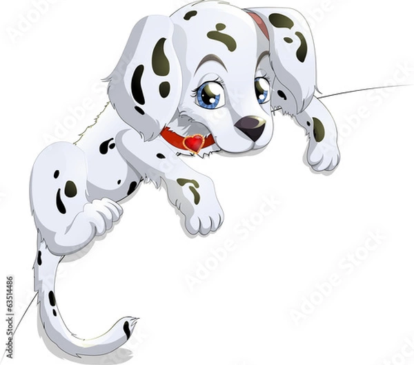 Obraz dalmatian