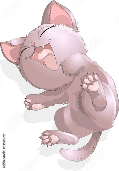 Obraz sleep kitten