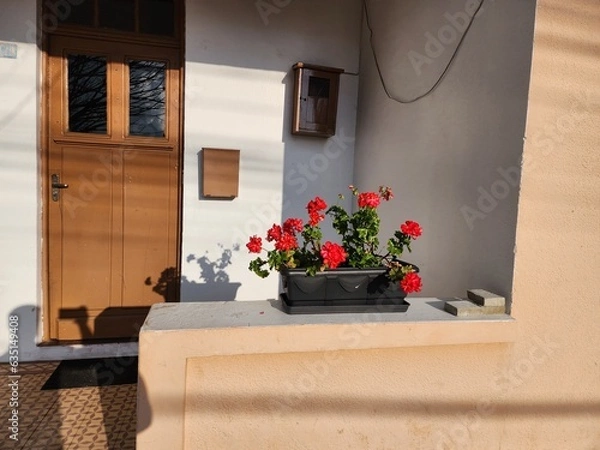 Fototapeta casa antiga