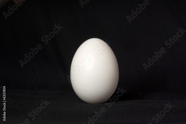 Fototapeta white egg 