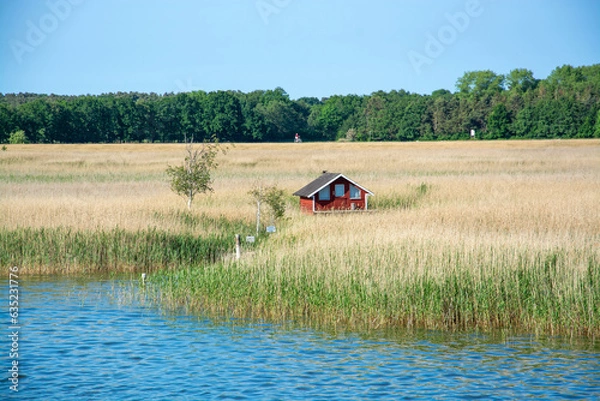 Obraz Barther Bodden bei Zingst, Deutschland