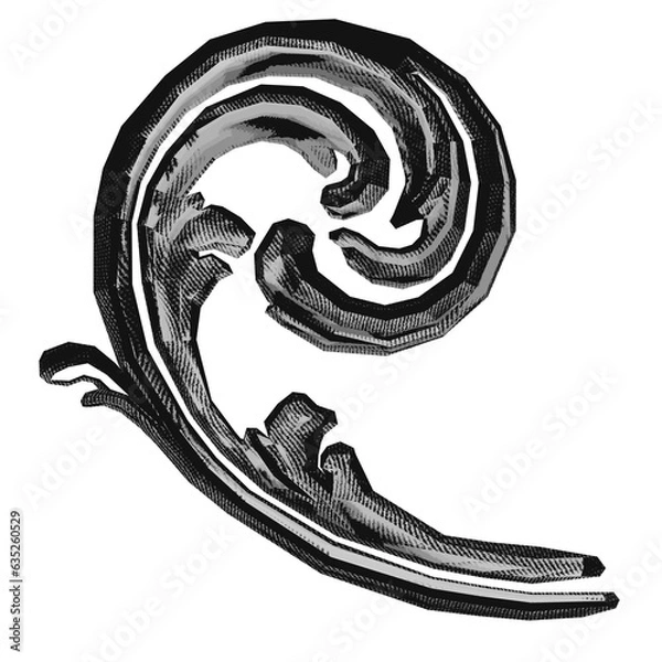 Fototapeta Baroque engrave ornaments. Ornate swirling floral motif