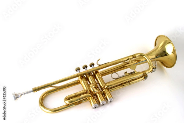 Obraz trumpet