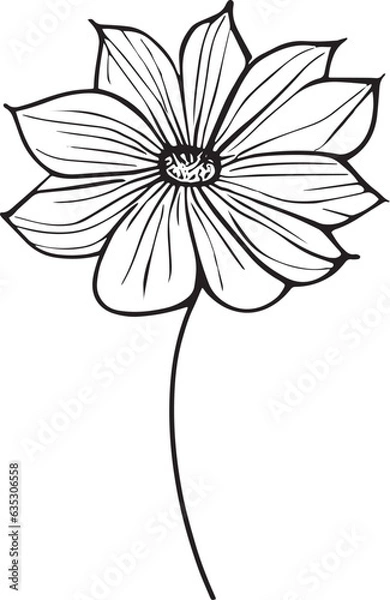 Obraz white lily flower