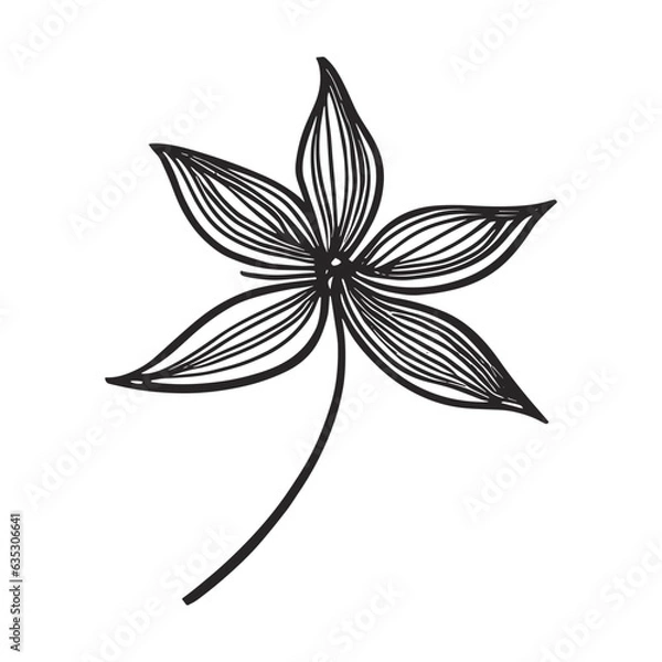 Obraz black and white flower vector
