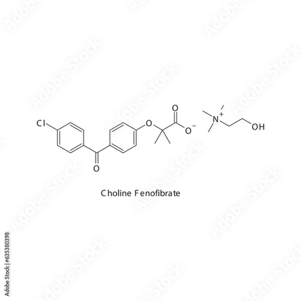 Obraz Choline Fenofibrate flat skeletal molecular structure Fibrate drug used in hyperlipidemia treatment. Vector illustration.