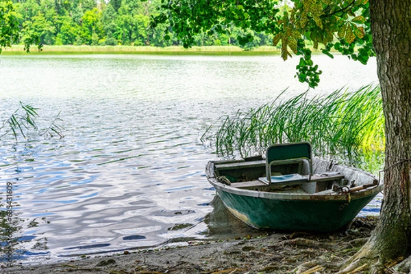 Fototapeta The rowing fishing boat in the foreground moored under a chestnut tree on the shore.