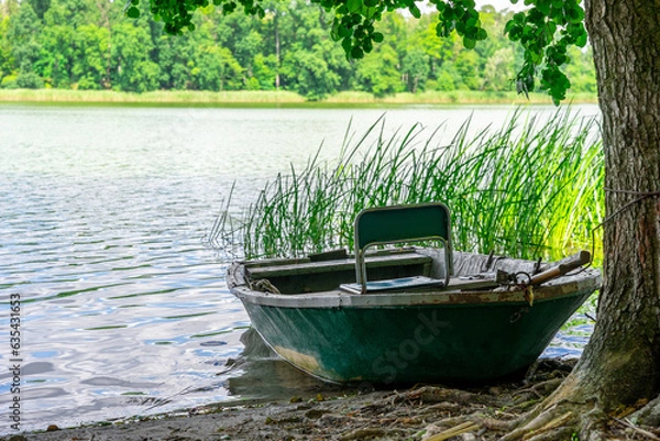 Fototapeta The rowing fishing boat in the foreground moored under a chestnut tree on the shore.