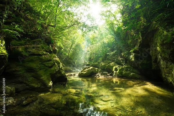 Obraz Clear Stream Yanbaru (Okuma River)