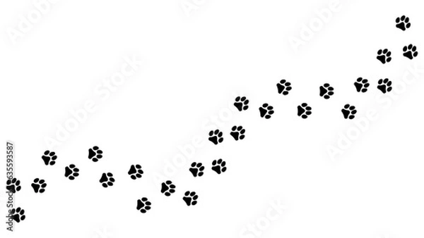 Obraz Track of paw footprints from a cat, tiger, lion, jaguar, panther, leopard, snow bars, cougar, cheetah, felines. Silhouette diagonal track. Vector on white. For pet shop, textiles print on clothes