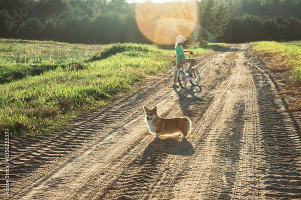 Obraz A child rides off into the sunset on a bicycle, a corgi stands in the foreground.