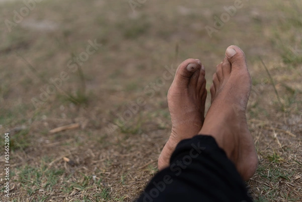 Obraz Pies relajados