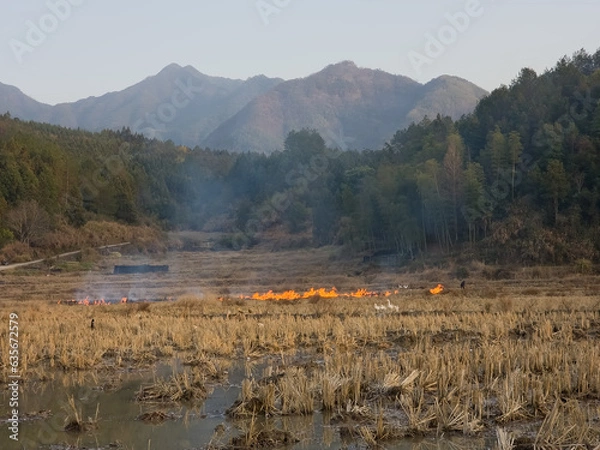 Fototapeta farmer doing controlled burn
