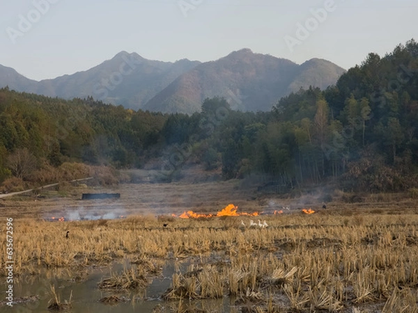 Fototapeta burning fields