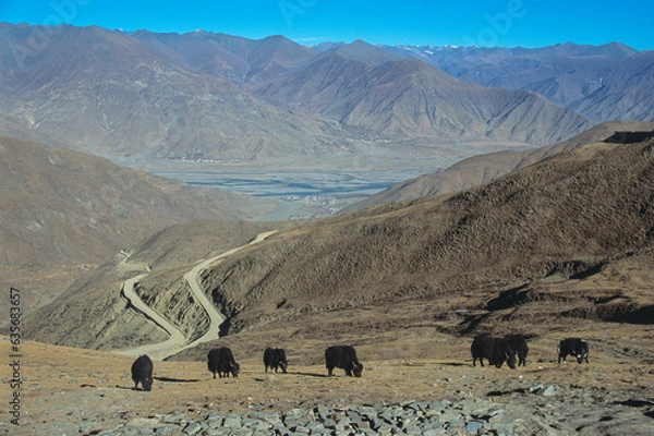 Obraz Arid mountains