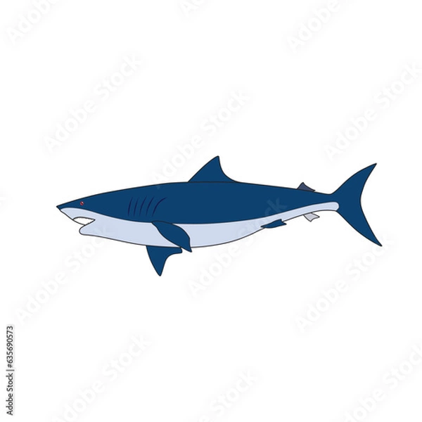 Obraz vector illustration drawing, shark on white background