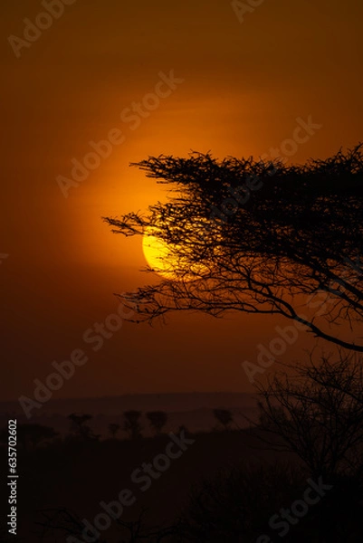 Obraz Africa's golden hour sunset