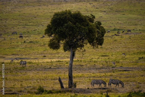 Obraz Trees with animals,