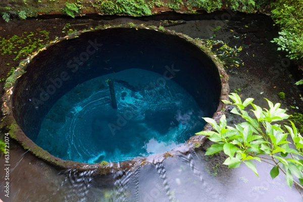 Fototapeta 柿田川湧き水群湧き間