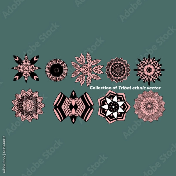 Obraz ethnic design vector graphic illustration.