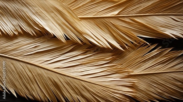Fototapeta Palm texture background