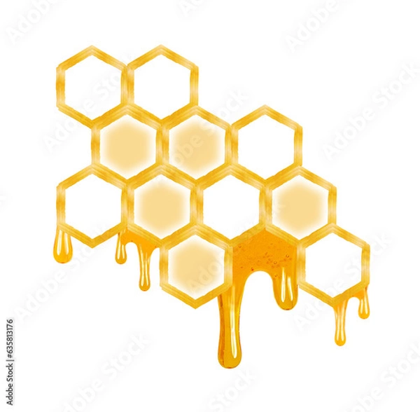 Fototapeta honey dripping from honeycomb isolated on white background